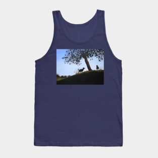 cone tree on hillside with dogs playing Tank Top